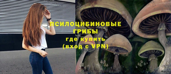ешки Балахна