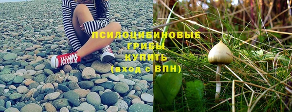 мет Баксан
