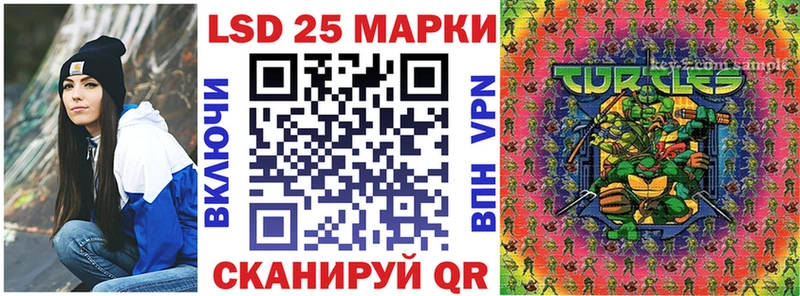 дарнет шоп  Темрюк  Марки NBOMe 1,8мг 